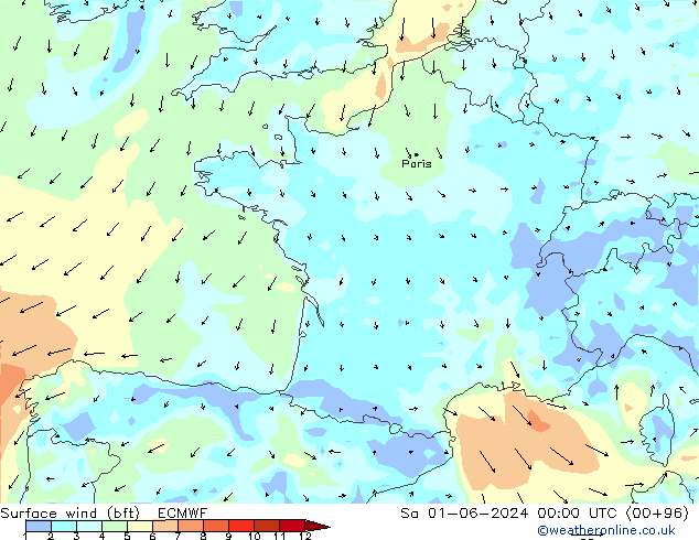 Surface wind (bft) ECMWF Sa 01.06.2024 00 UTC