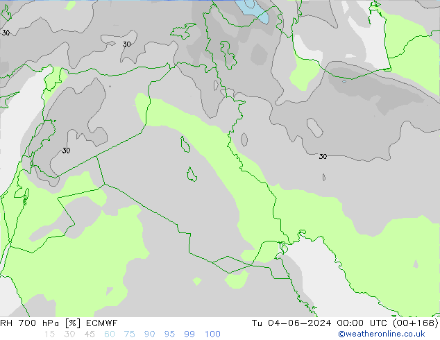 RH 700 hPa ECMWF  04.06.2024 00 UTC