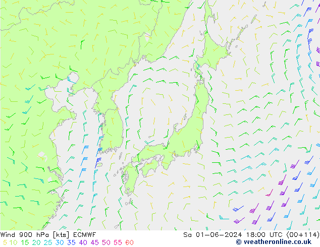 Vent 900 hPa ECMWF sam 01.06.2024 18 UTC