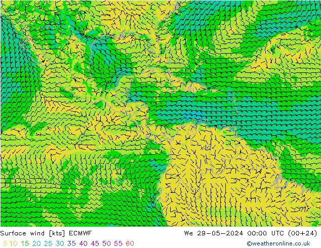  10 m ECMWF  29.05.2024 00 UTC