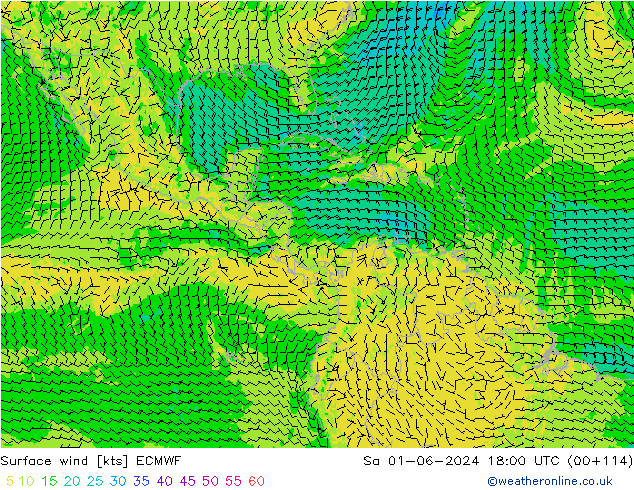 ветер 10 m ECMWF сб 01.06.2024 18 UTC