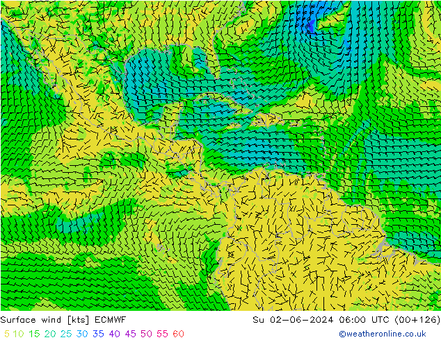 Bodenwind ECMWF So 02.06.2024 06 UTC