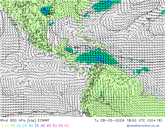 Rüzgar 950 hPa ECMWF Sa 28.05.2024 18 UTC