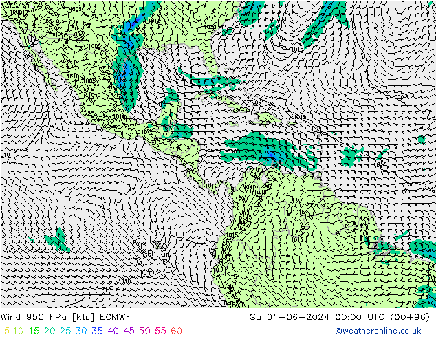 Wind 950 hPa ECMWF Sa 01.06.2024 00 UTC