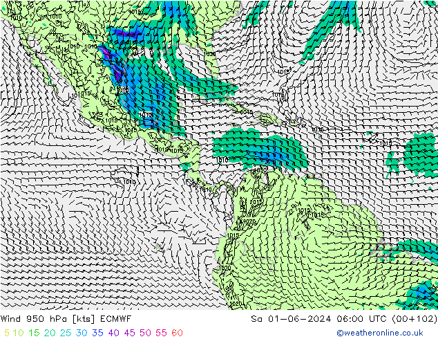 Wind 950 hPa ECMWF Sa 01.06.2024 06 UTC