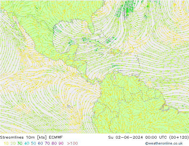 Línea de corriente 10m ECMWF dom 02.06.2024 00 UTC