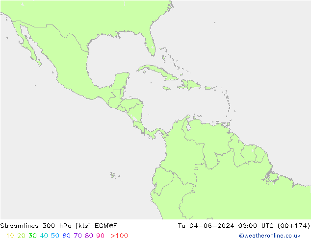 Stroomlijn 300 hPa ECMWF di 04.06.2024 06 UTC