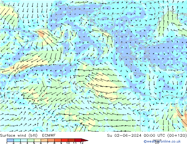 Surface wind (bft) ECMWF Su 02.06.2024 00 UTC