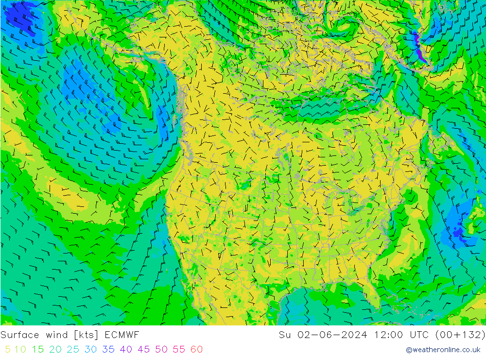  10 m ECMWF  02.06.2024 12 UTC