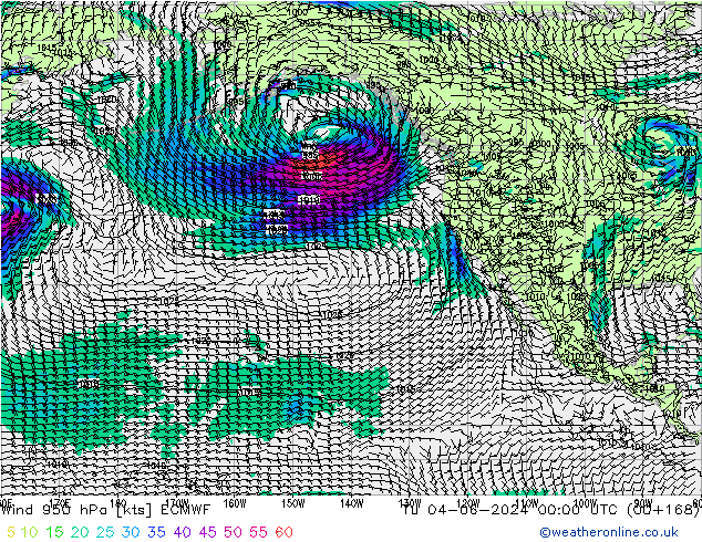  950 hPa ECMWF  04.06.2024 00 UTC