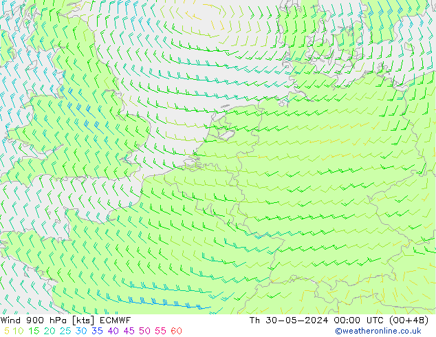 Wind 900 hPa ECMWF Do 30.05.2024 00 UTC