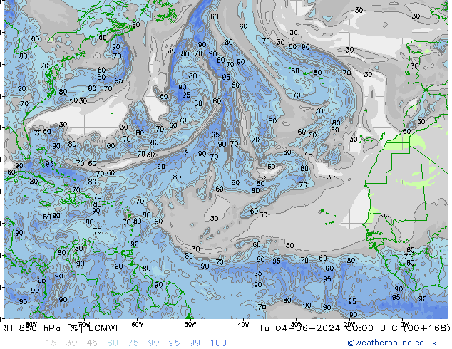 RH 850 hPa ECMWF Tu 04.06.2024 00 UTC