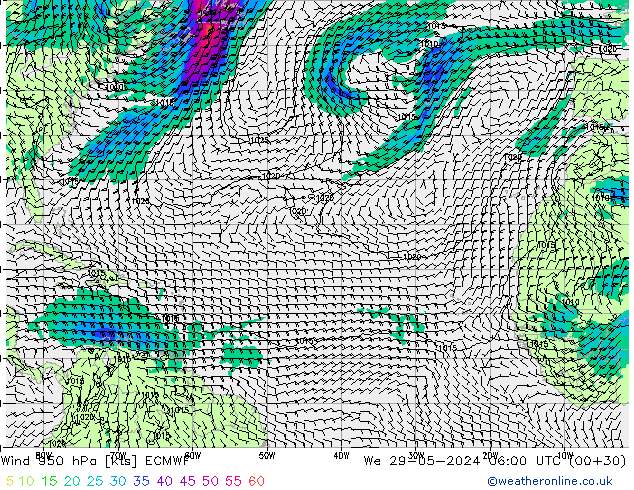 Rüzgar 950 hPa ECMWF Çar 29.05.2024 06 UTC