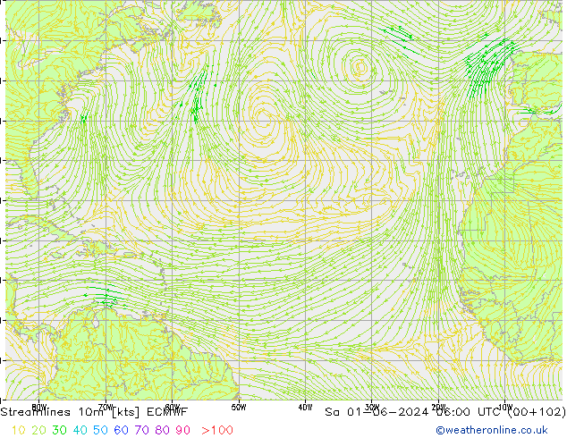 Streamlines 10m ECMWF Sa 01.06.2024 06 UTC