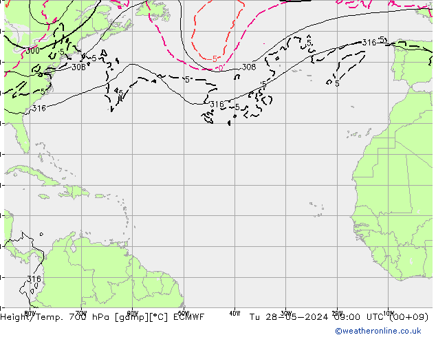  Ter 28.05.2024 09 UTC