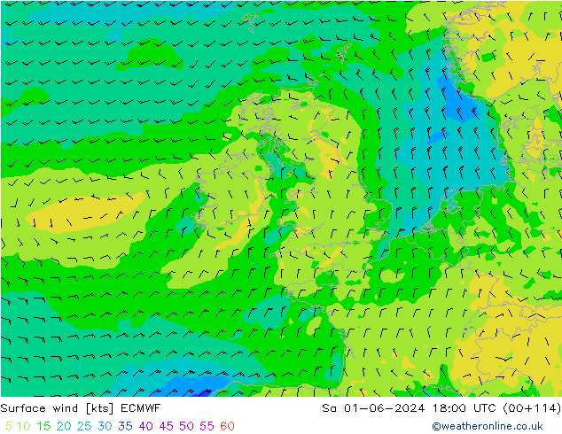 Surface wind ECMWF Sa 01.06.2024 18 UTC