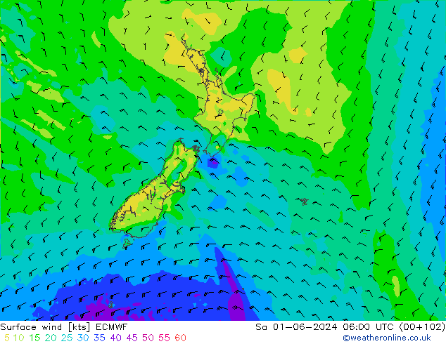 Vento 10 m ECMWF sab 01.06.2024 06 UTC