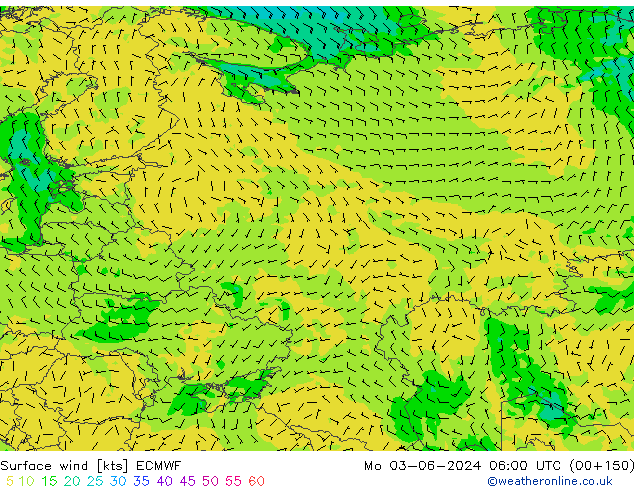 Surface wind ECMWF Po 03.06.2024 06 UTC