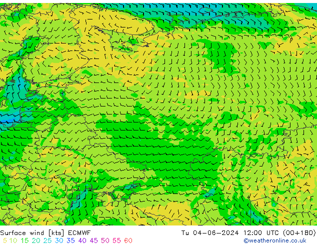 Wind 10 m ECMWF di 04.06.2024 12 UTC