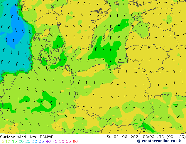 Wind 10 m ECMWF zo 02.06.2024 00 UTC