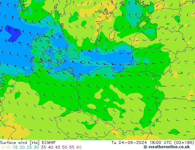 Surface wind ECMWF Tu 04.06.2024 18 UTC