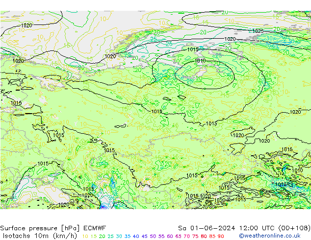 Izotacha (km/godz) ECMWF so. 01.06.2024 12 UTC