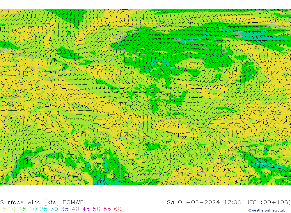 Rüzgar 10 m ECMWF Cts 01.06.2024 12 UTC