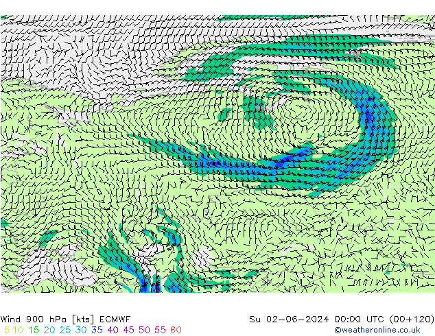 Rüzgar 900 hPa ECMWF Paz 02.06.2024 00 UTC