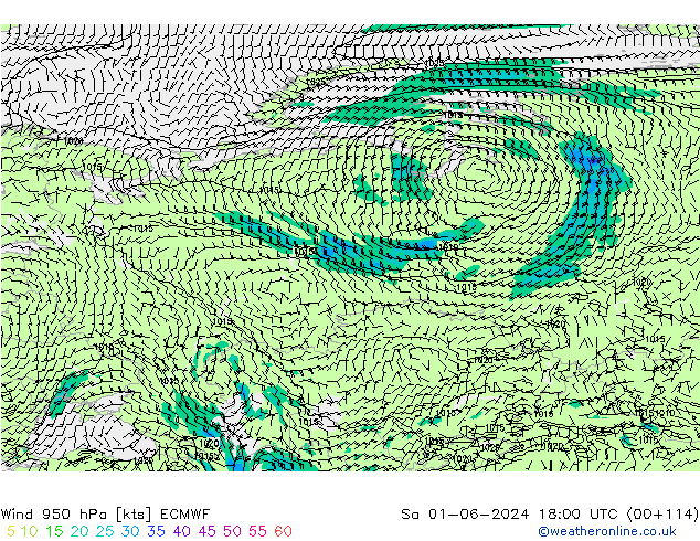 wiatr 950 hPa ECMWF so. 01.06.2024 18 UTC