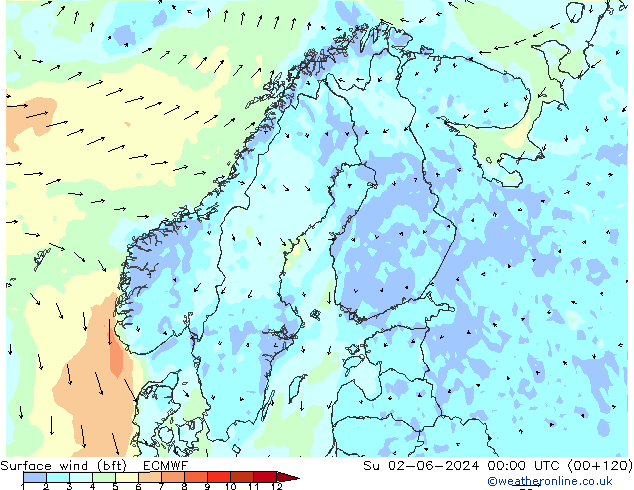 Vento 10 m (bft) ECMWF Dom 02.06.2024 00 UTC