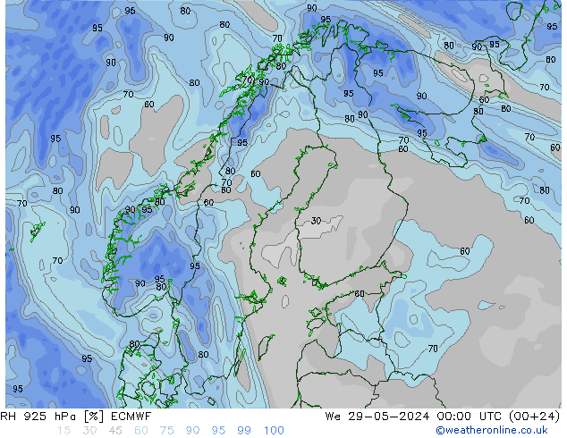 RH 925 гПа ECMWF ср 29.05.2024 00 UTC