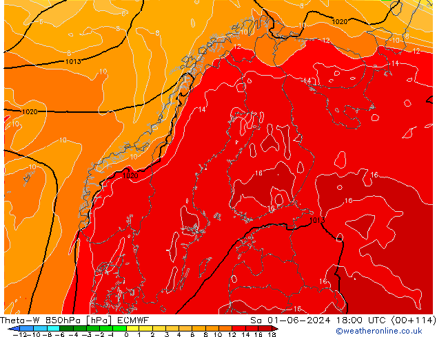 Theta-W 850hPa ECMWF Sa 01.06.2024 18 UTC