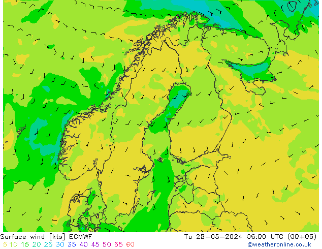 Surface wind ECMWF Tu 28.05.2024 06 UTC