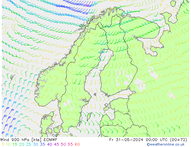 Rüzgar 900 hPa ECMWF Cu 31.05.2024 00 UTC