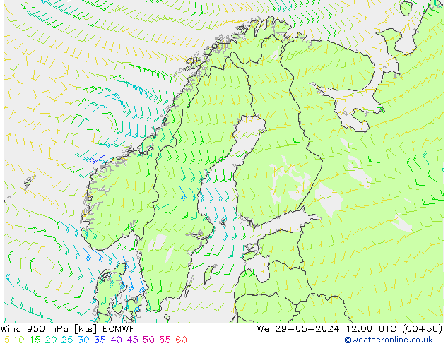  950 hPa ECMWF  29.05.2024 12 UTC