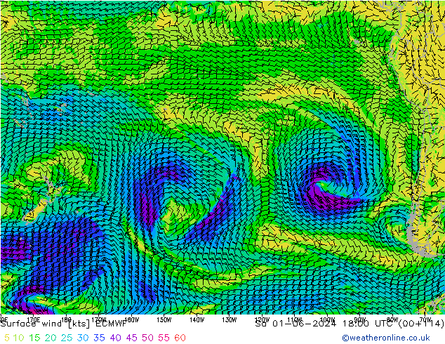 Surface wind ECMWF Sa 01.06.2024 18 UTC