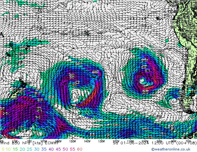 Wind 850 hPa ECMWF So 01.06.2024 12 UTC