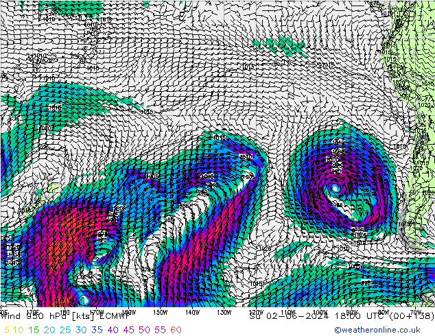 Wind 950 hPa ECMWF Su 02.06.2024 18 UTC