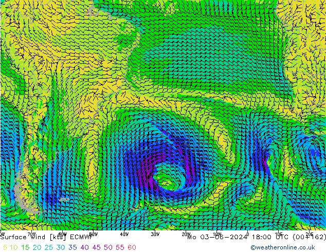 ветер 10 m ECMWF пн 03.06.2024 18 UTC