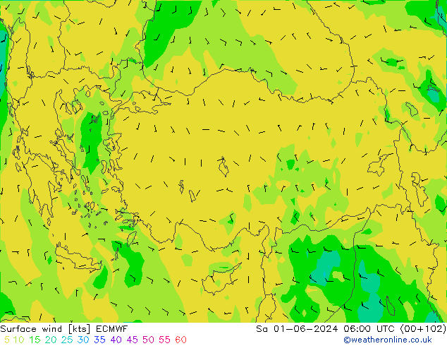 Surface wind ECMWF Sa 01.06.2024 06 UTC