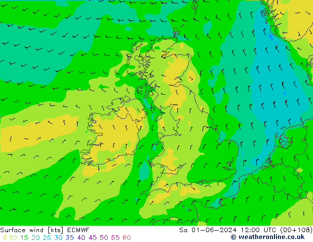 Bodenwind ECMWF Sa 01.06.2024 12 UTC