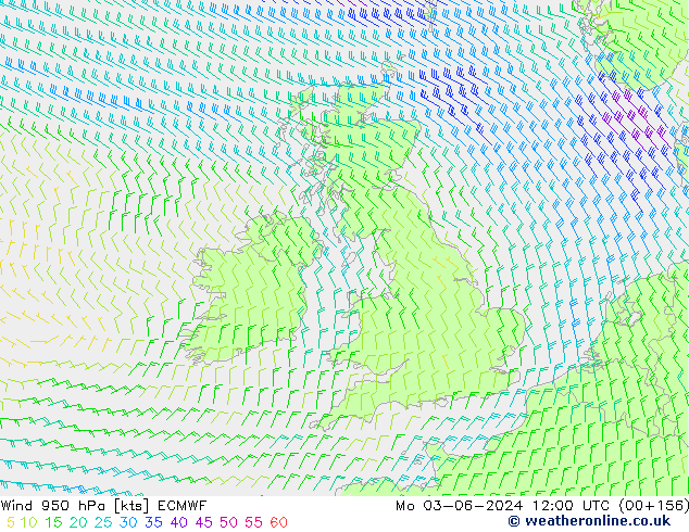 Rüzgar 950 hPa ECMWF Pzt 03.06.2024 12 UTC