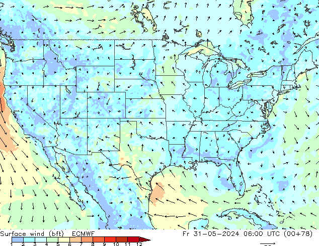 wiatr 10 m (bft) ECMWF pt. 31.05.2024 06 UTC