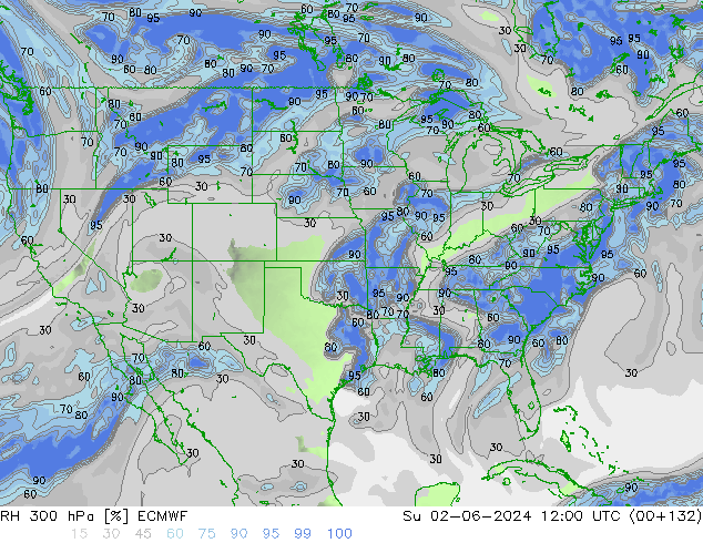 300 hPa Nispi Nem ECMWF Paz 02.06.2024 12 UTC