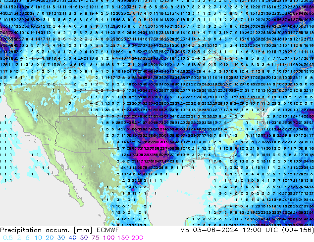 Toplam Yağış ECMWF Pzt 03.06.2024 12 UTC