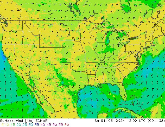 Surface wind ECMWF Sa 01.06.2024 12 UTC