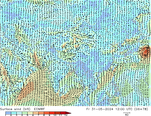 Vent 10 m (bft) ECMWF ven 31.05.2024 12 UTC