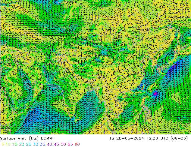 Wind 10 m ECMWF di 28.05.2024 12 UTC