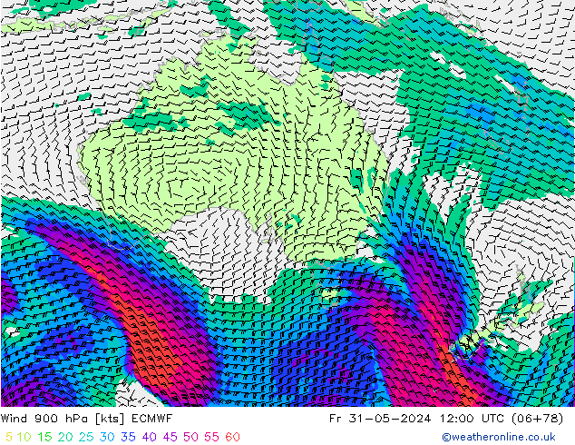  900 hPa ECMWF  31.05.2024 12 UTC