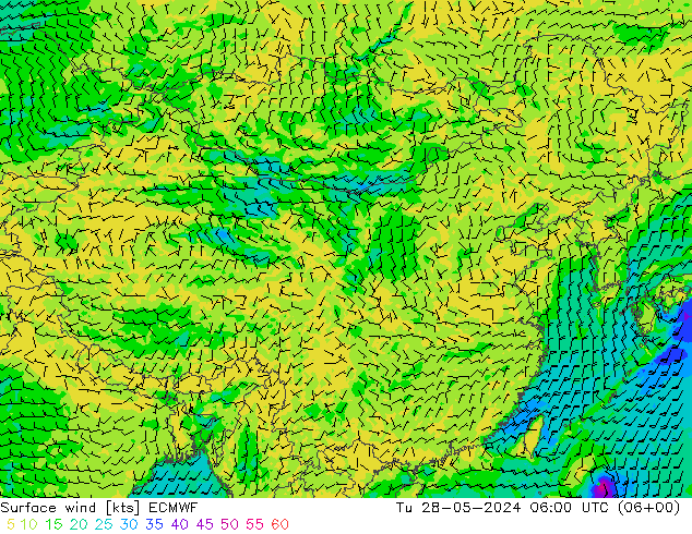 风 10 米 ECMWF 星期二 28.05.2024 06 UTC